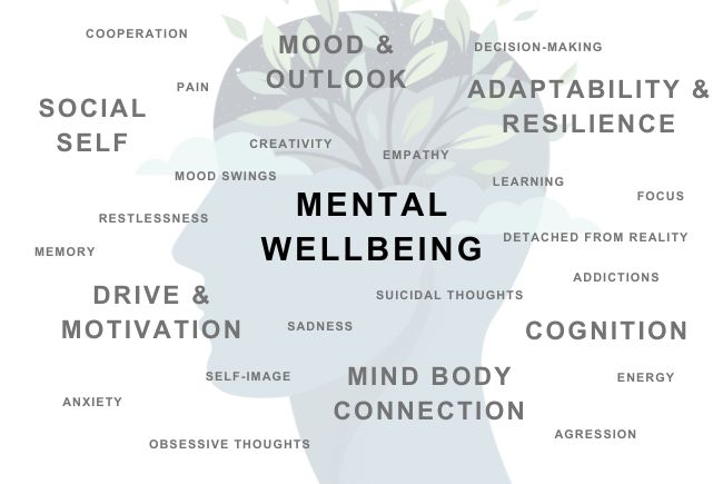 improve mental well-being